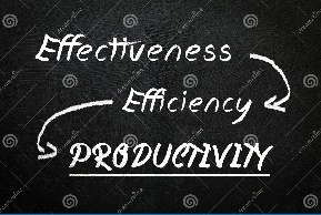 111 SKOYLAS T15 012024